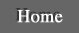 Lanning Art Gallery Homepage